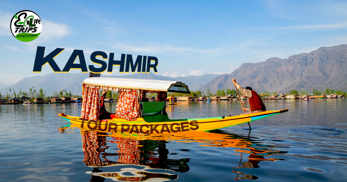 Best Kashmir Long Weekend Tour Package From Delhi: Beauty of Kashmir in February
